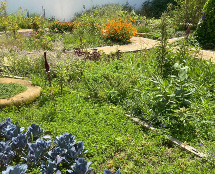 Vista do Jardim dos Pintores