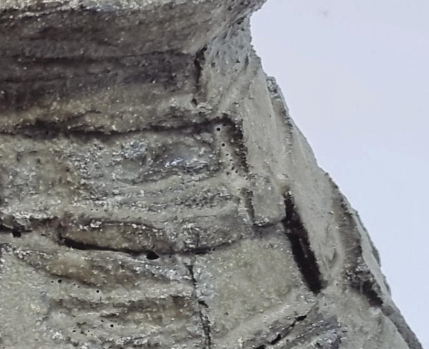 amplitude2025_premio