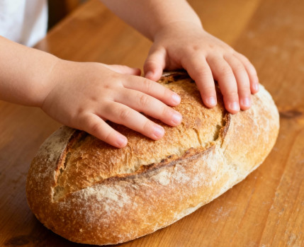 PAO_NOSSA_IMAGINACAO_SERVICO_EDUCATIVO_NOV_2025