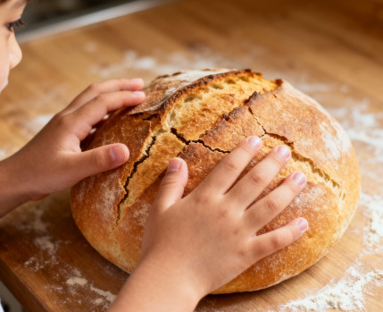 OFICINA_MIMAR_O_PAO_CASA_DA_CIDADE_NOVEM,BRO_2025