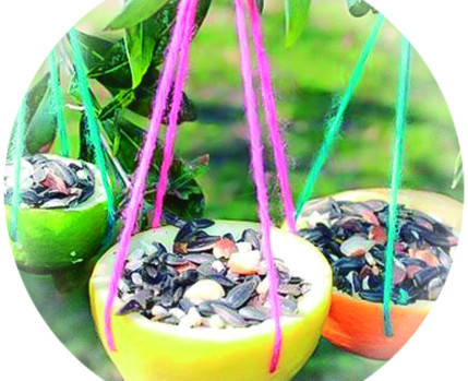 comedouros para aves