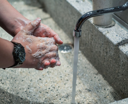 PAF-Higiene e Segurança Alimentar