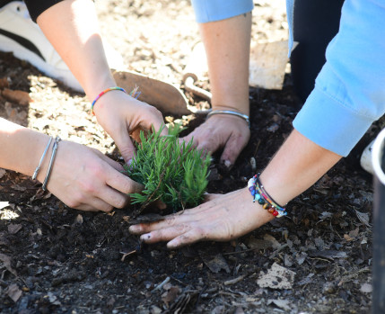 Agroparque das Terras da Costa e do Mar
