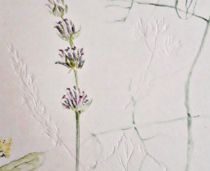 Desenho táctil de plantas do jardim