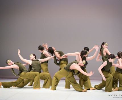 Rumo ao Adagio, CaDa