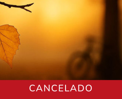 arvore sabia evento cancelado