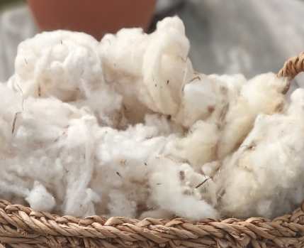 OFICINA_FELTRAGEM_ABRIL_2026