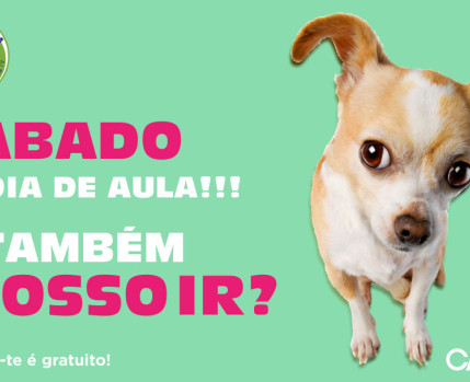 escolinha canina abril