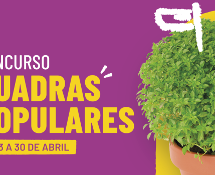 Concursos Quadras 2026