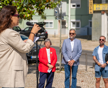 Dia Internacional contra a homofobia, transfobia e bifobia