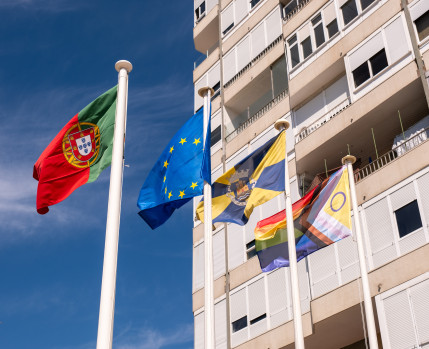 Dia Internacional contra a homofobia, transfobia e bifobia