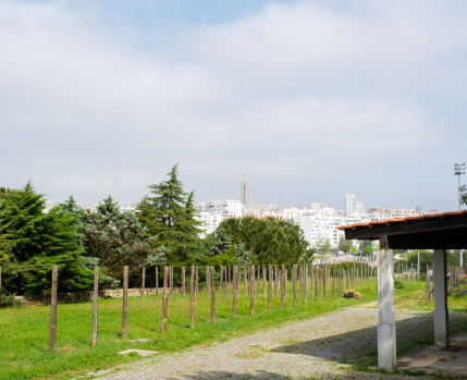 Viveiro do Parque da Paz