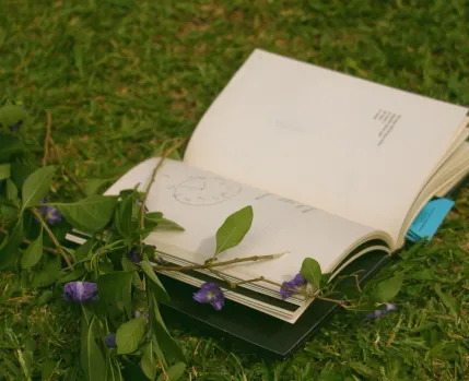 EXPLORAR POESIA AR LIVRE.jpg