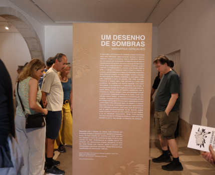 Visita guiada um desenho de sombras