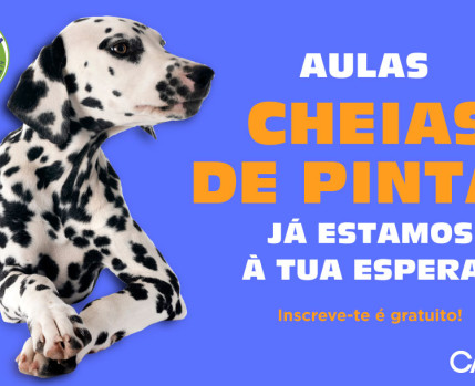 Escola Canina julho 2026