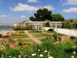 Jardim Botânico - Chão das Artes