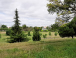 Imagem representativa de Parque Urbano das Quintinhas