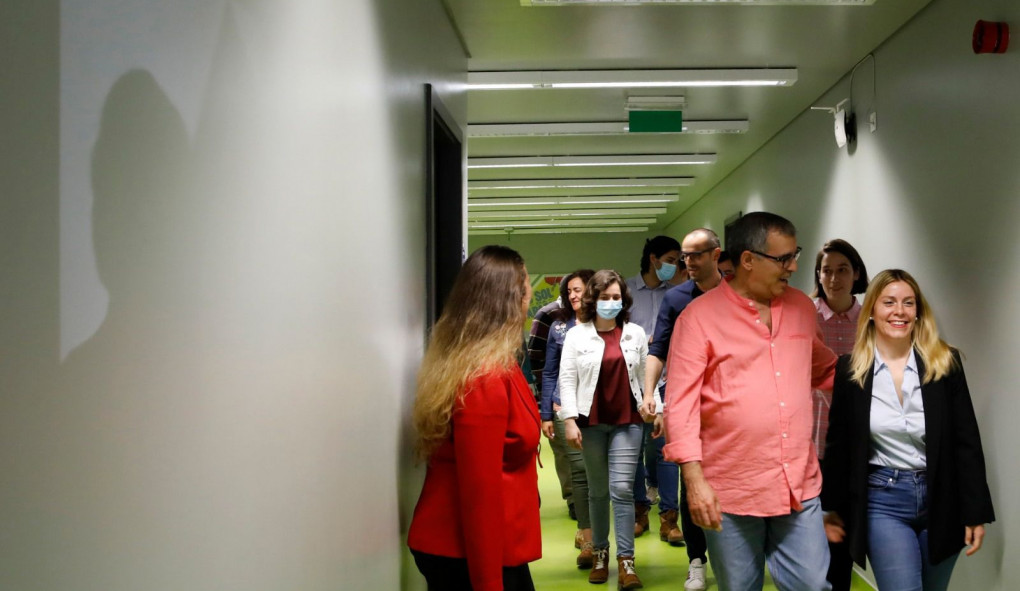 fiscais 7