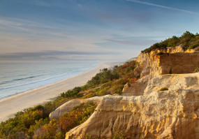 Arriba Fóssil da Costa da Caparica_7_RGuerreiro