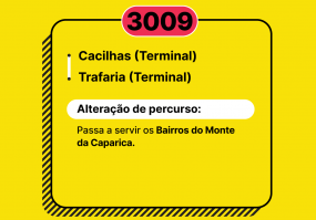 Carreira 3009