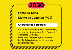 Carreira 3030