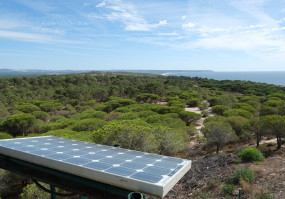 painel solar em zona de mata florestal