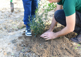 Parque Multiusos da Sobreda recebe 2.ª microfloresta do concelho 