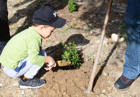 Parque Multiusos da Sobreda recebe 2.ª microfloresta do concelho 