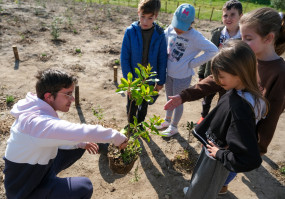 Ação de manutenção microfloresta Parque Urbano das Quintinhas