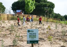 Ação de manutenção microfloresta Parque Urbano das Quintinhas