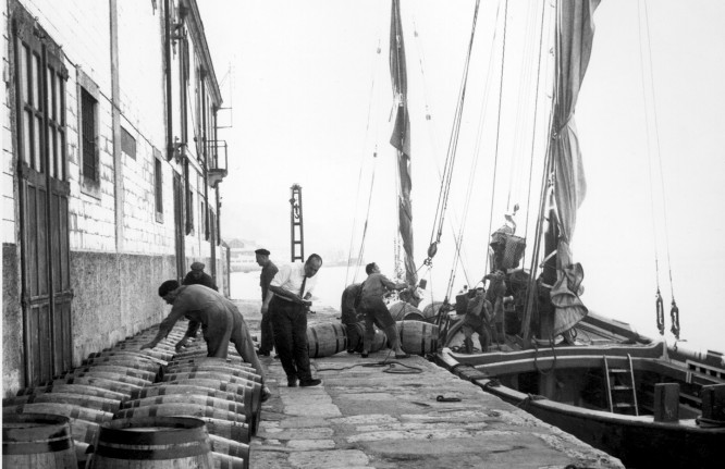 Firma Bento José Pereira Júnior