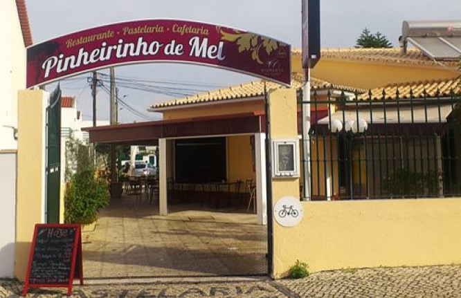 PinheirinhodeMel1