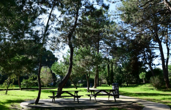 Charneca_da_caparica