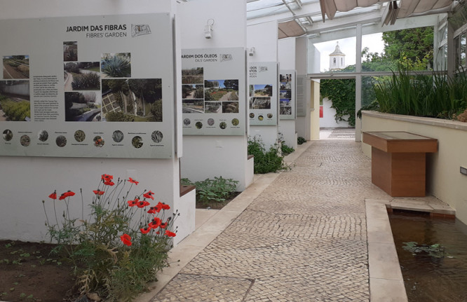 Exposição "A História de um Jardim"