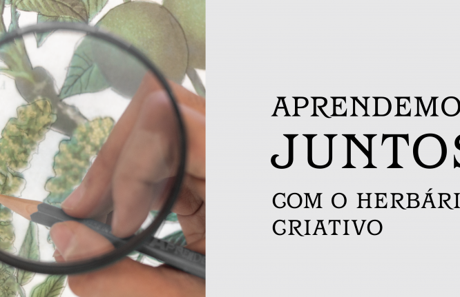 APRENDEMOS JUNTOS COM O HERBÁRIO CRIATIVO