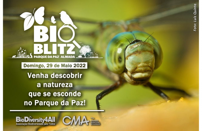 BioBlitz Parque da Paz 2022