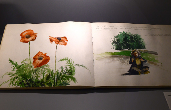 Exposição “O Chão das Artes - Residência Artística do Grupo do Risco 2021: Cadernos de Campo”