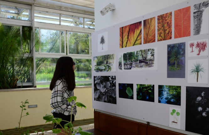 Exposição “O Chão das Artes - Residência Artística do Grupo do Risco 2021”