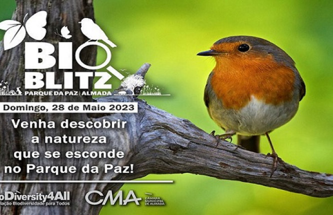 bioblitz