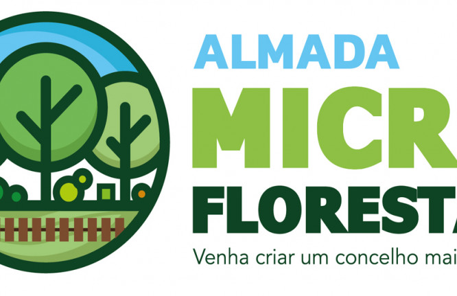 Microflorestas