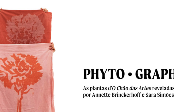 PHYTO · GRAPHIAS As plantas d’O Chão das Artes reveladas por Annette Brinckerhoff e Sara Simões