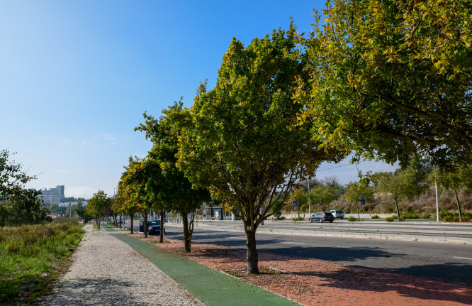 Ciclovia Monte da Caparica