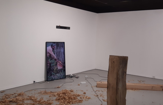 Exposição “Habitat”, do Coletivo Landra