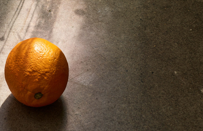 Wilfrid Almendra / HARVEST -  (copy Roman Mensing - pormenor)