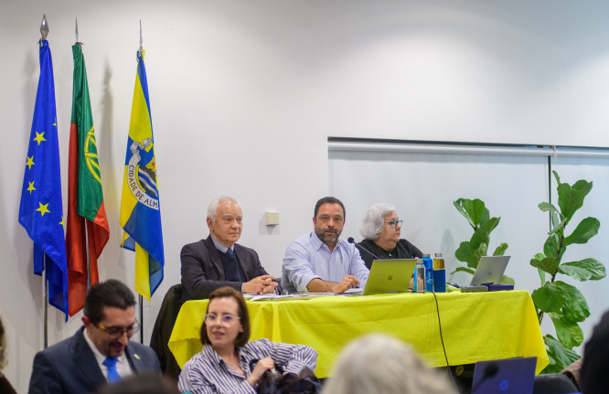 Assembleia municipal