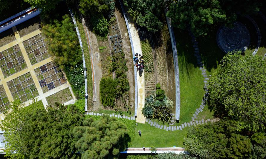 Visita Orientada ao Chão das Artes - Jardim Botânico (fotografia de Paulo Alves)