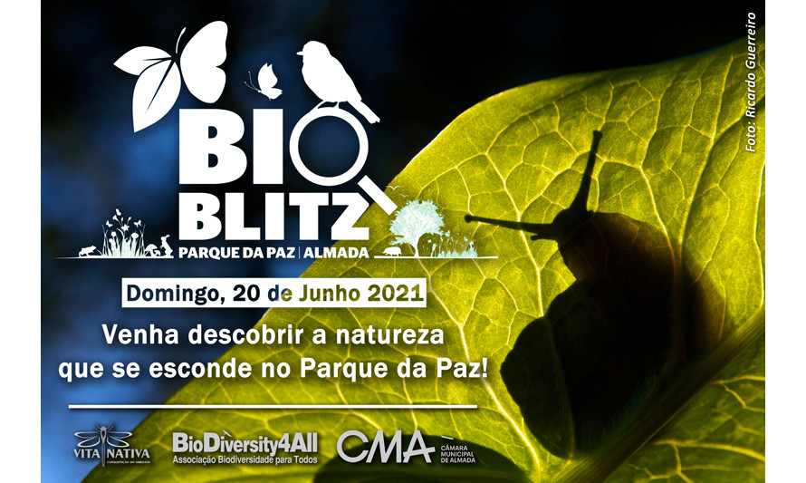 BioBlitz Parque da Paz 2021_Câmara Municipal de Almada