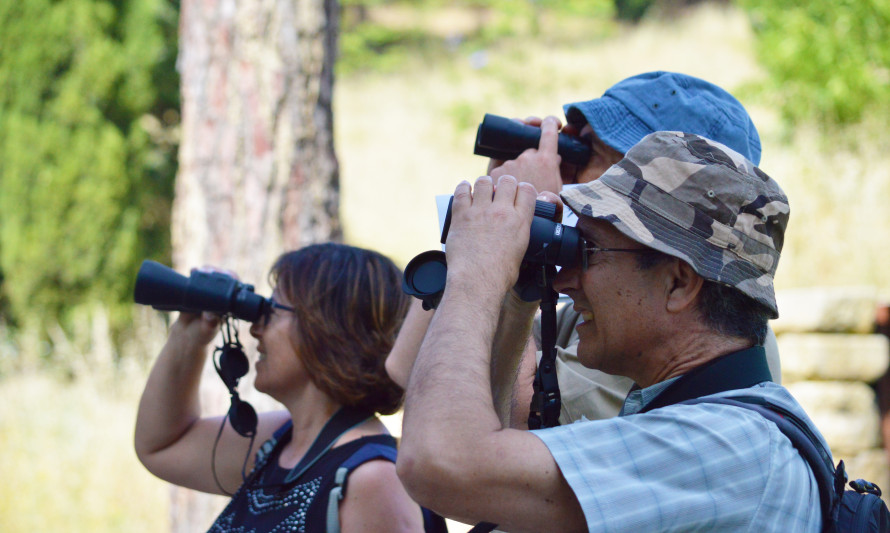 Observação de Aves no Parque da Paz