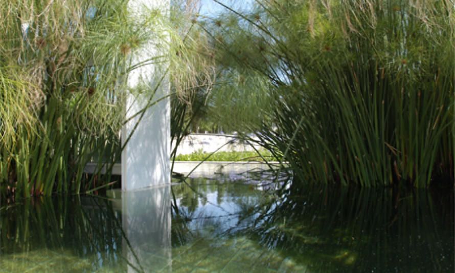 Visita Orientada ao Chão das Artes - Jardim Botânico