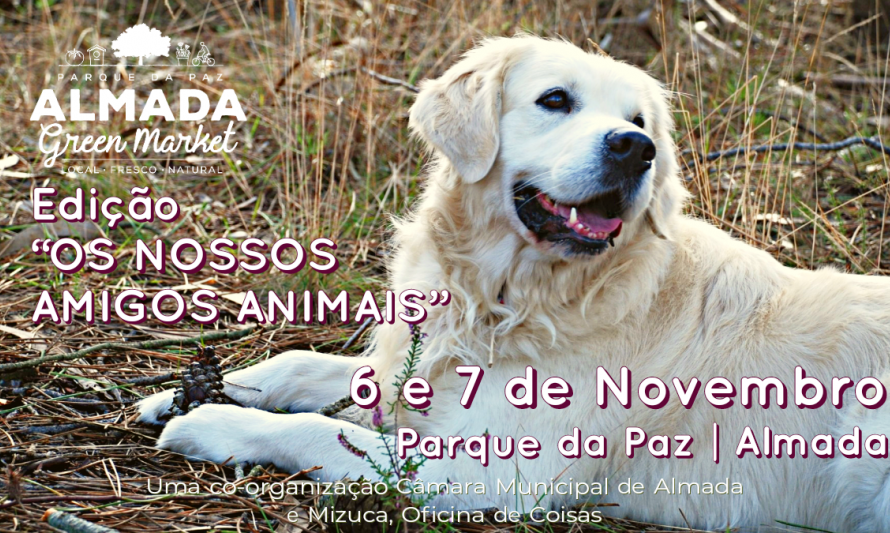 Almada Green Market Outubro 2021